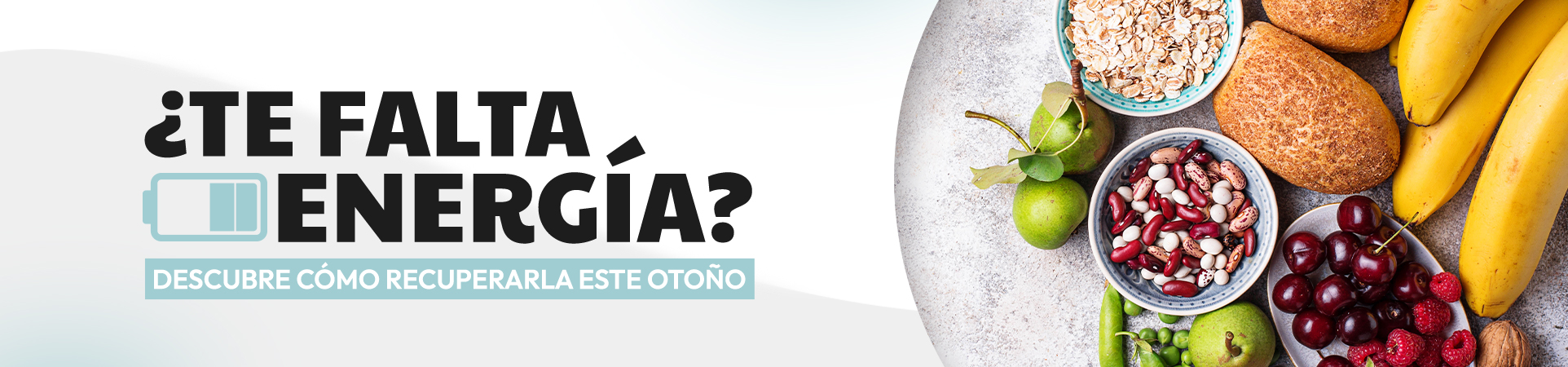 1924x450 Te falta energia en otoño9